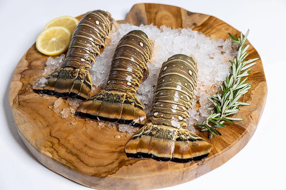 (Four Count) 10-12oz. Maine Lobster Tails